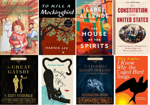 USA 250 Book Collection